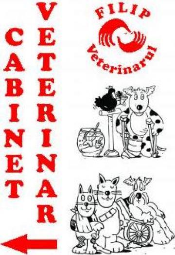 Servicii Cabinet veterinar