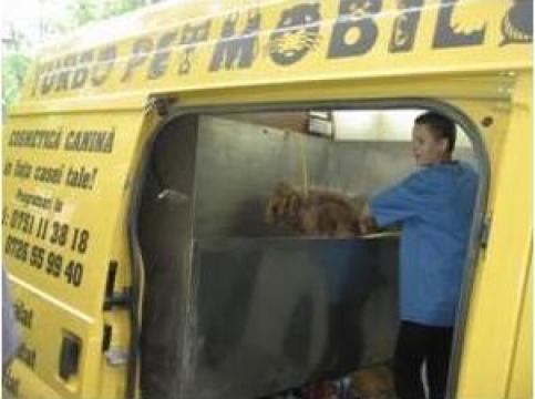 Servicii coafor canin mobil