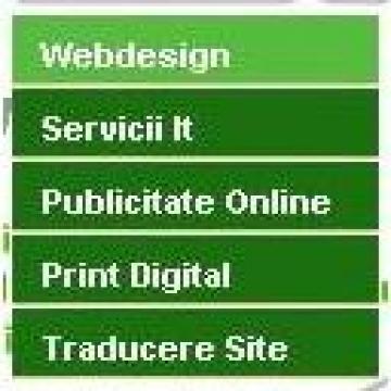 Servicii creare site (web design)