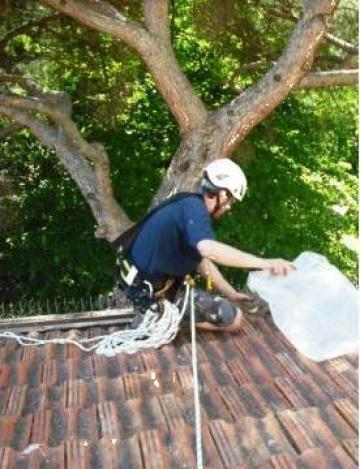 Servicii curatare jgheaburi, burlane