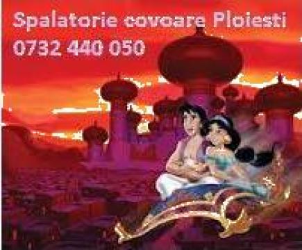 Servicii curatatorie, spalatorie covoare