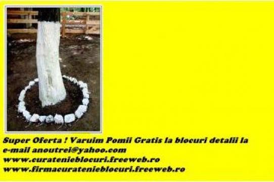 Servicii curatenie in bloc
