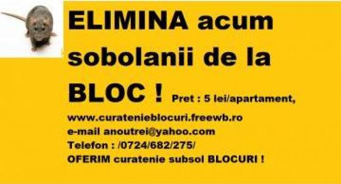 Servicii curatenie subsol bloc