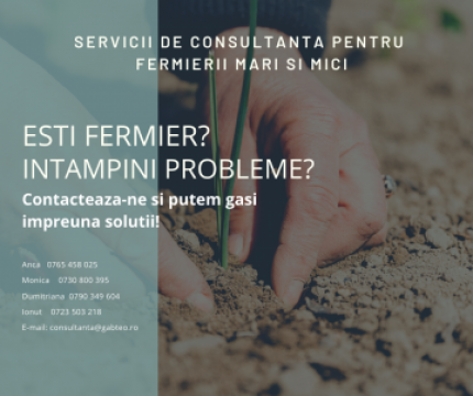Servicii de consultanta financiara