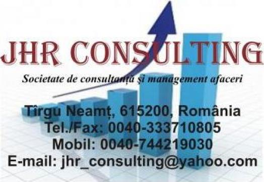 Servicii de consultanta si management afaceri