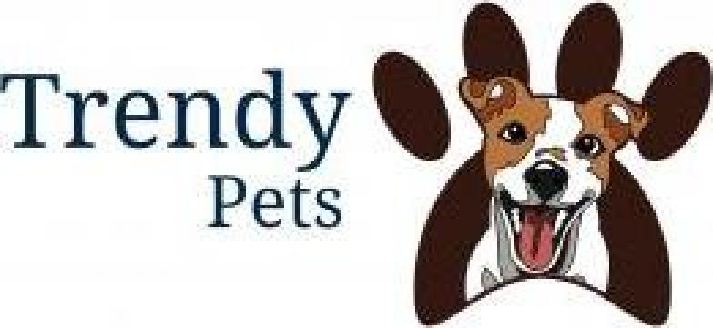 Servicii frizerie canina, tuns caini