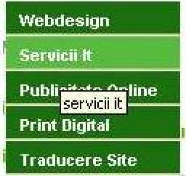Servicii it (devirusare, configurare calculatoare, etc.)