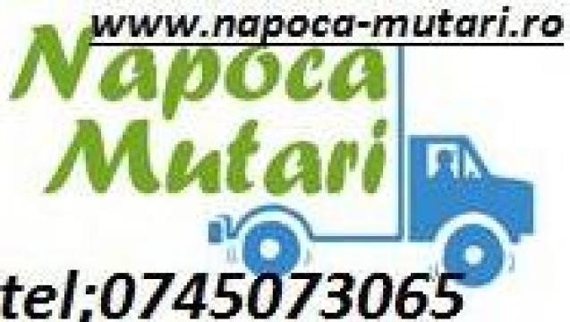 Servicii mutari mobila/transport marfa