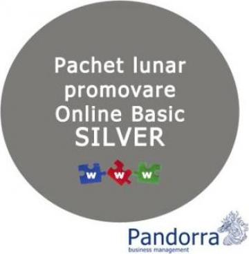 Servicii promovare Online Silver