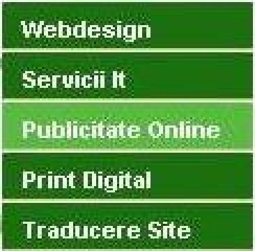 Servicii promovare pe internet - publicitate online