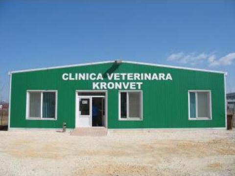 Servicii veterinare - sterilizare pisica