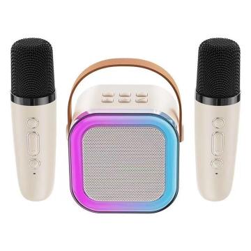 Set 2 microfoane pentru karaoke cu boxa portabila K12