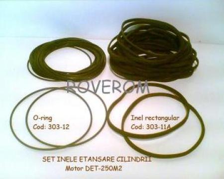 Set inele etansare cilindrii motor DET-250m2