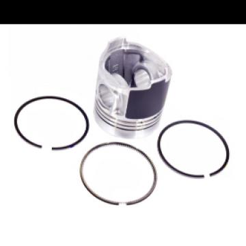 Set piston + segmenti Perkins 115017581