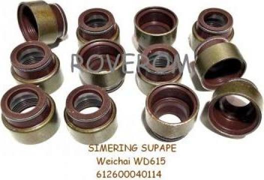 Simering supape Weichai WD615, WP10, MAN, Mercedes, Renault