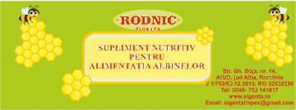 Sirop hrana pentru albine