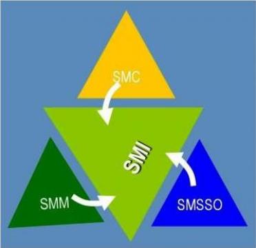 Sisteme de Management Integrat HSEQ