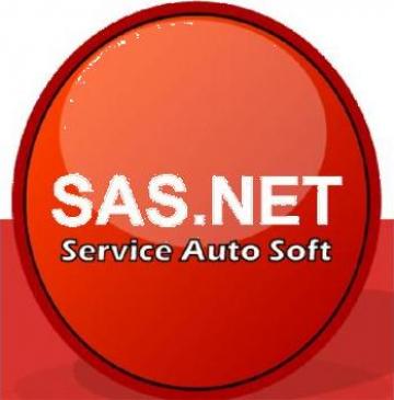 Software service auto