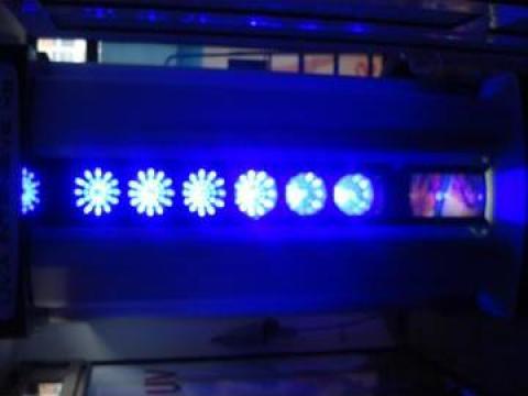 Solar vertical