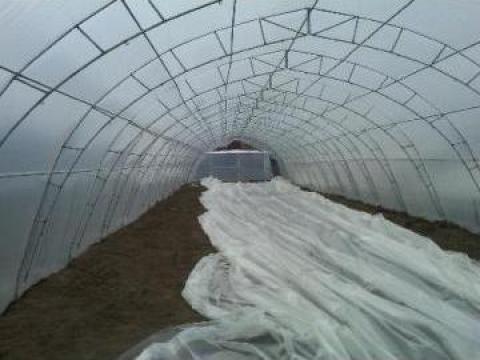 Solarii agricultura pe structura metalica