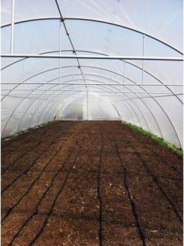 Solarii pentru legume si flori - ventilatie laterala