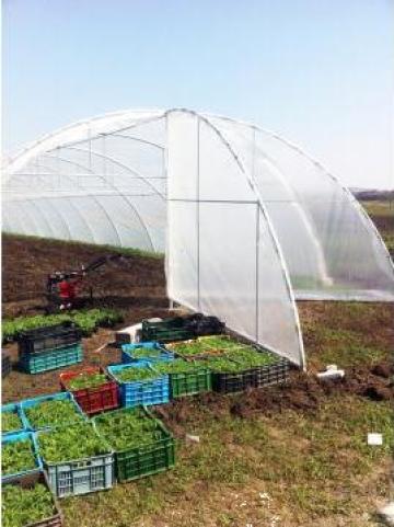 Solarii pentru legume - ventilatii pe capete si lateral