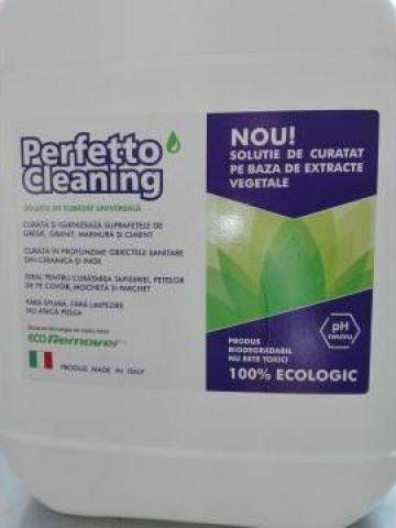 Solutii ecologice pentru curatat Perfetto Cleaning