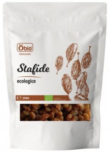 Stafide bio 250g Obio