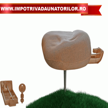 Statie de intoxicare pentru rozatoare Decorativa Rock