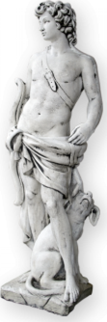 Statuie gradina Apollo S61