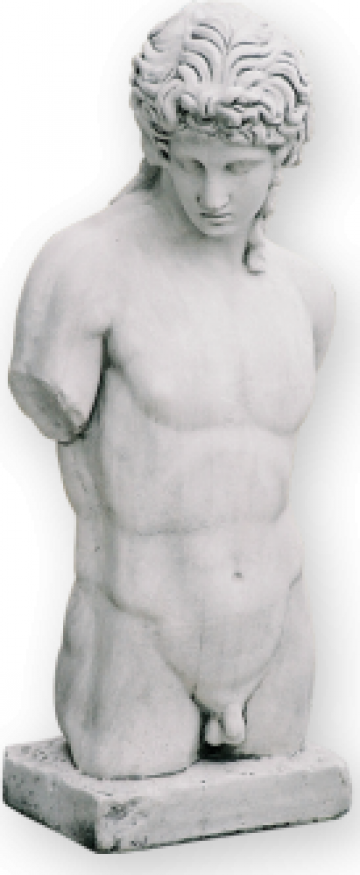 Statuie gradina Bust Proba David S39