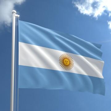 Steag Argentina