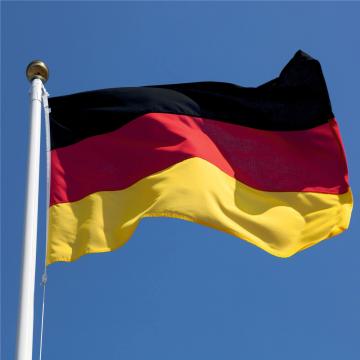 Steag Germania