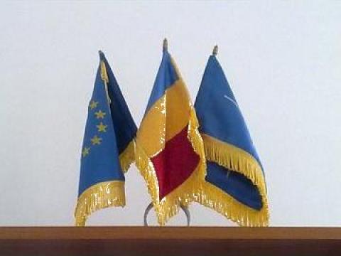 Steag Romania / Uniunea Europeana