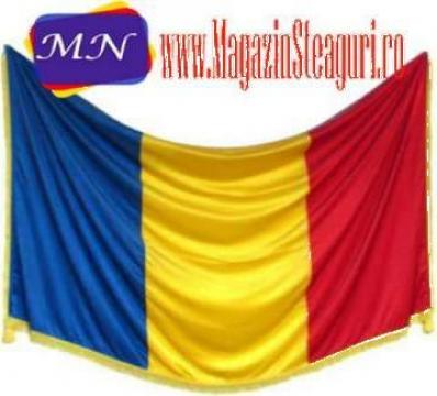 Steag Romania, lance, suport