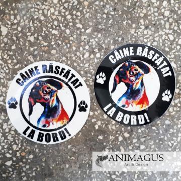 Sticker auto Teckel neted / sarmos - diverse modele