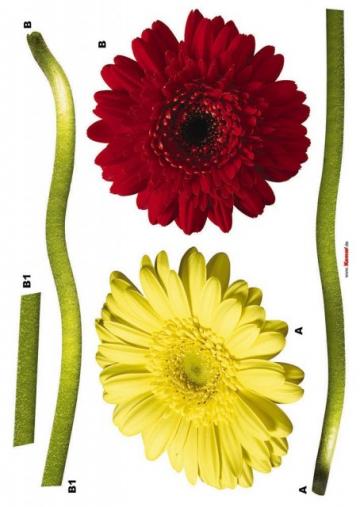 Sticker de perete Gerbera