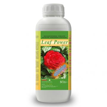 Stimulator de crestere Leaf Power