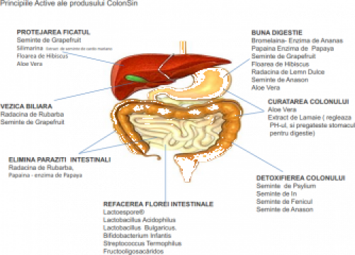 Supliment alimentar Colonsin