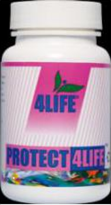 Supliment alimentar Protect 4 Life - ginkgo biloba - 90tb
