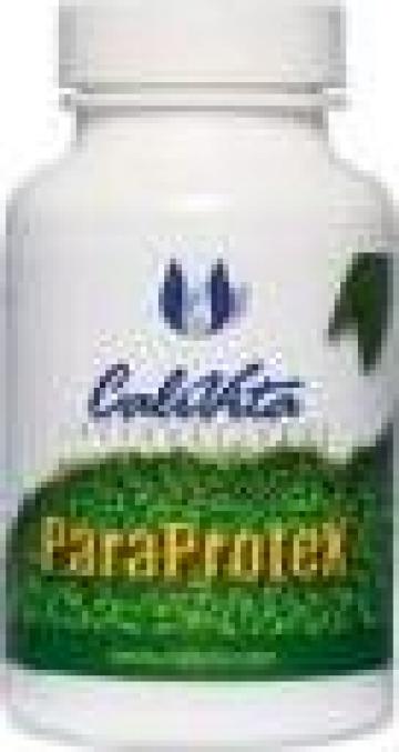 Supliment alimentar naturist Paraprotex