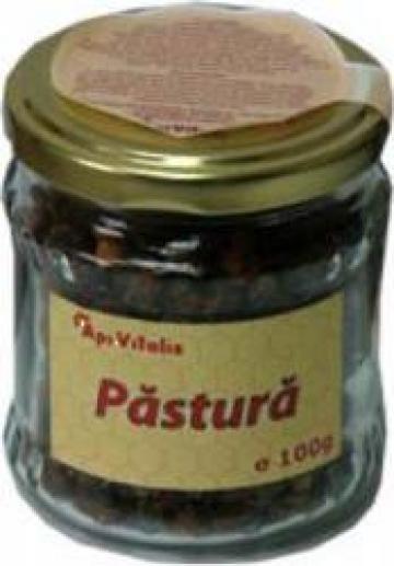 Supliment alimentar pentru crestere imunitate Pastura