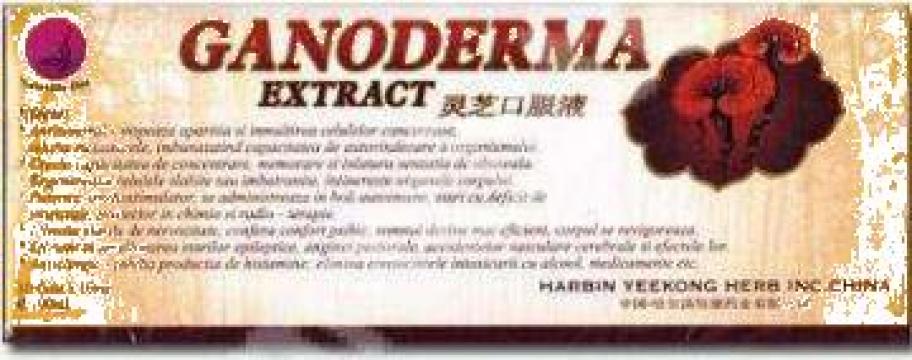 Supliment detoxifiant Ganoderma Extract 10 fiole x 10ml