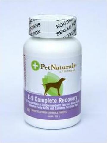 Supliment nutritional pentru caini K-9 Cmplete Recovery