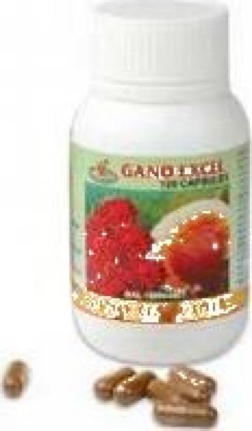 Supliment nutritiv Gano Garcinia