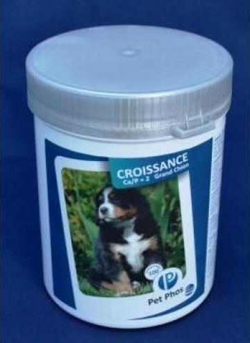 Supliment nutritiv catei Pet Phos Special Grand Chien Ca/P=2