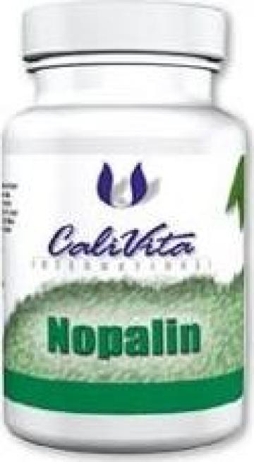 Supliment pentru slabit Nopalin (200 tablete)