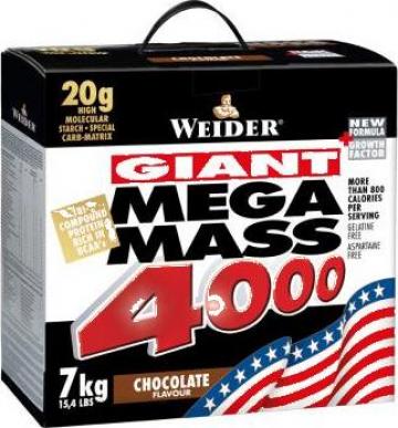 Suplimente nutritive Giant Mega Mass 4000