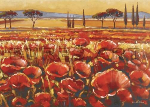Tablou Camp cu maci inramat, 70x50 cm