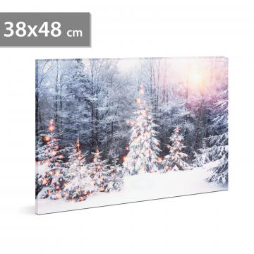Tablou cu LED - peisaj de iarna - LED - cu agatatoare